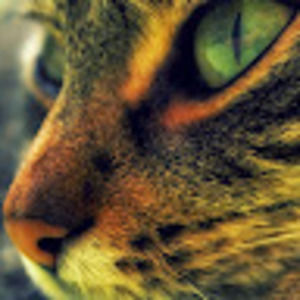 Meet your Posher, Marlon